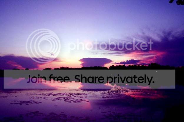 sunset.jpg