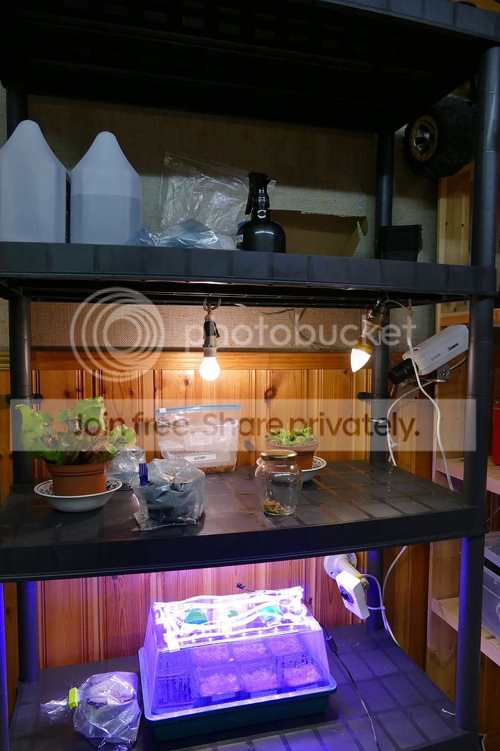 P1010560_zpsphzjpysn.jpg
