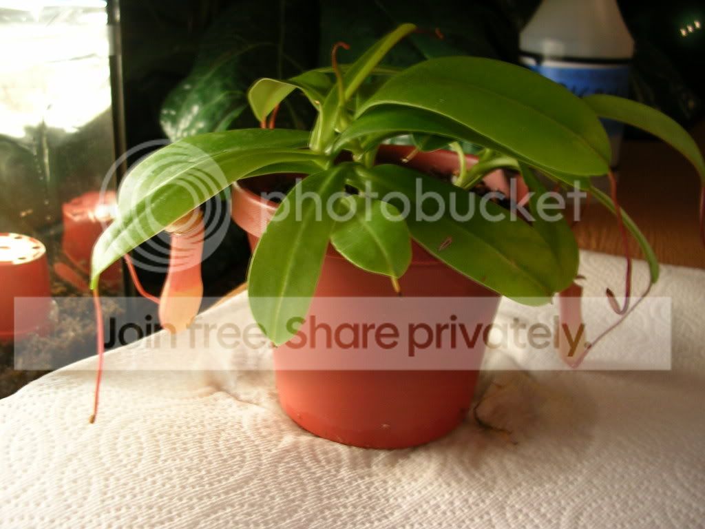 DSCN3728.jpg