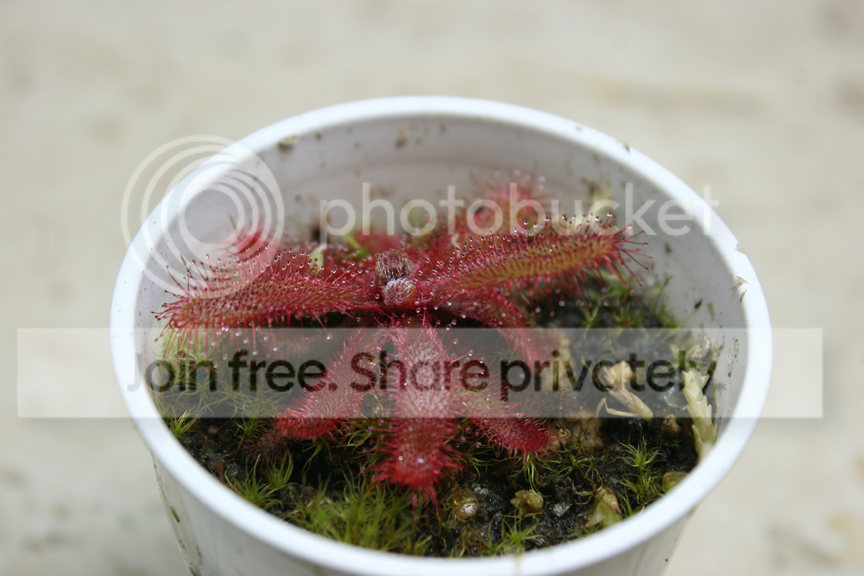 IMG_5744_zps106accb0.png