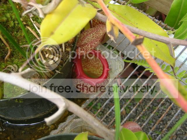 DSCN4349.jpg