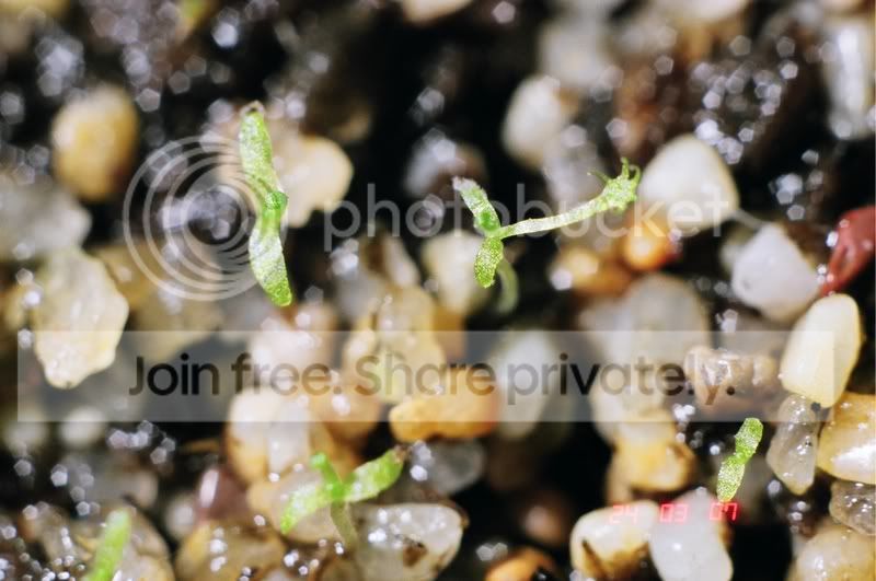 04390010.jpg