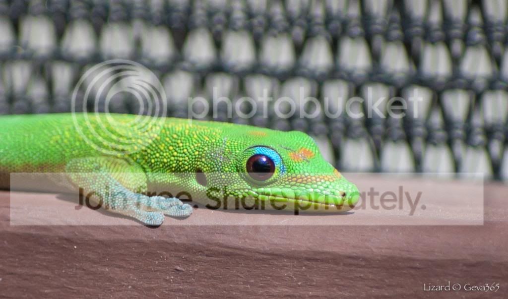 DSC_4654_zps6c66333f.jpg