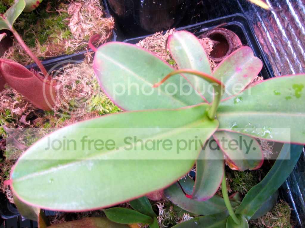 IMG_5585.jpg