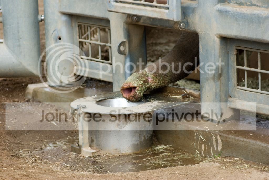 IMGP3590_zpssoc4cnaf.jpg