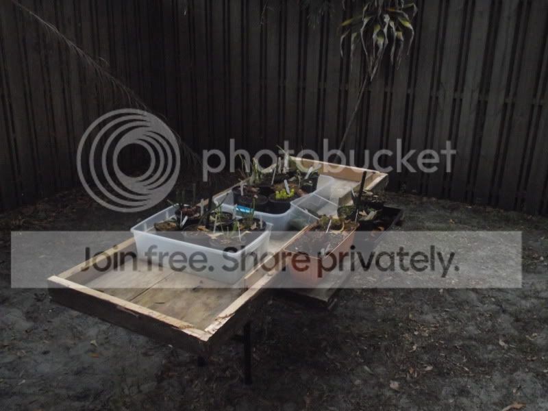 DSCF6720.jpg