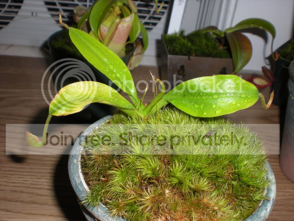 DSCN8807.jpg