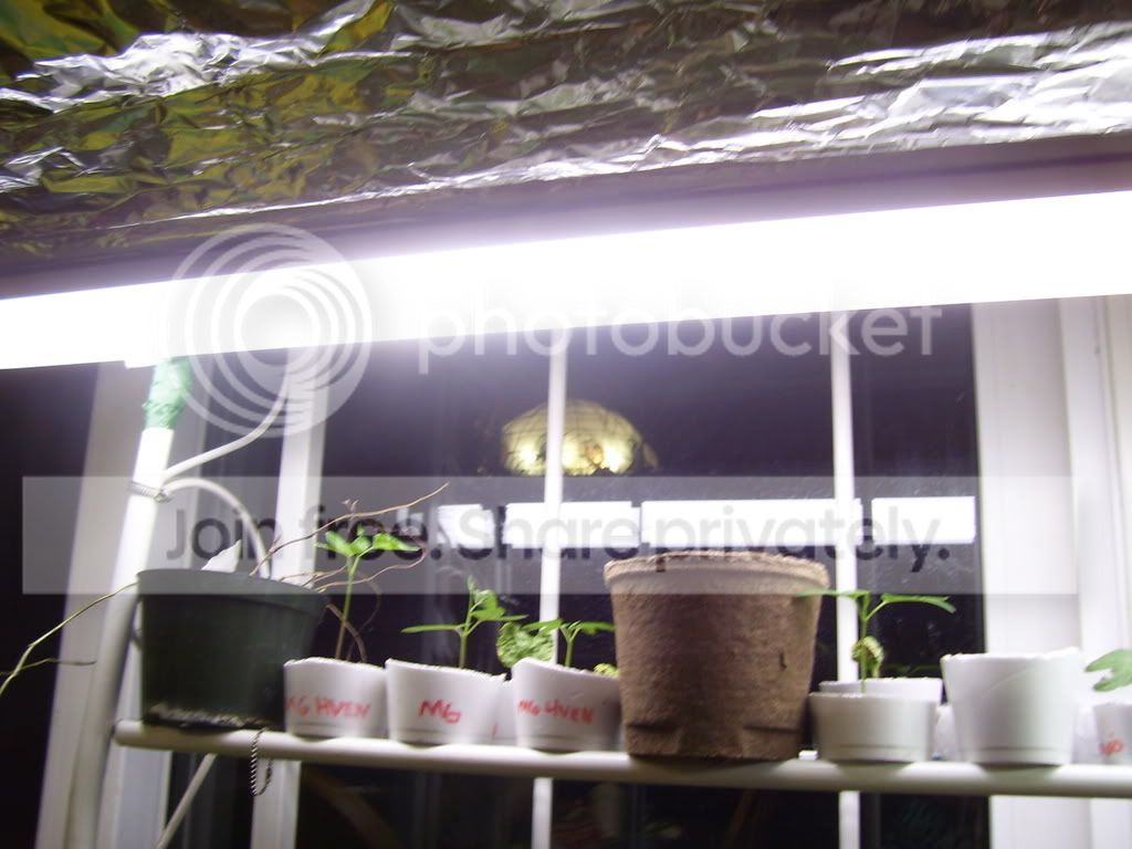 Setup005.jpg
