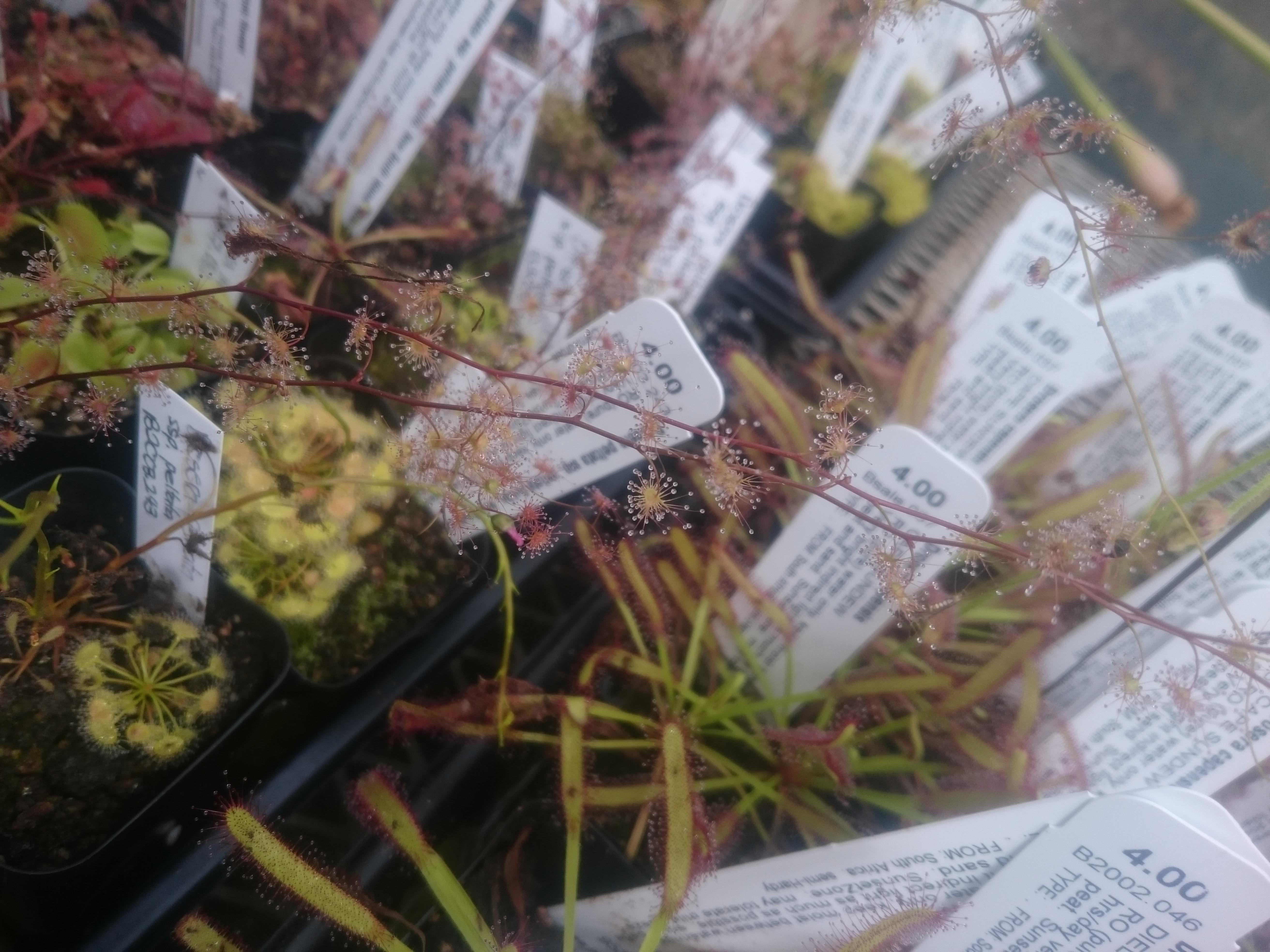 Hn542TD.jpg