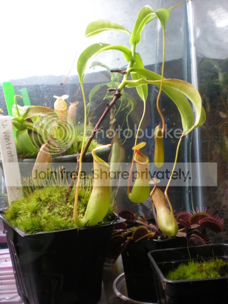 DSCN8810.jpg