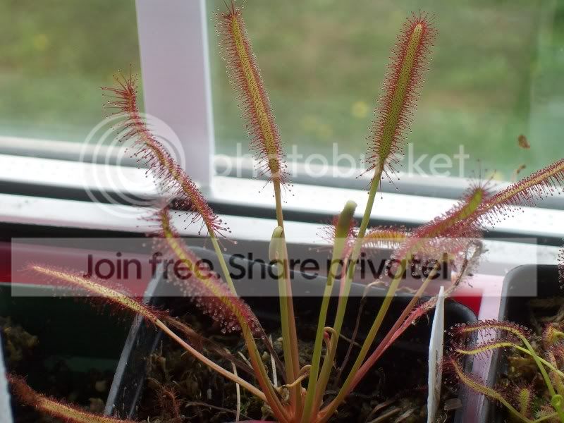 100_8225.jpg
