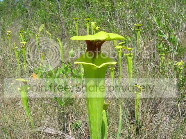 DSCN1287.jpg
