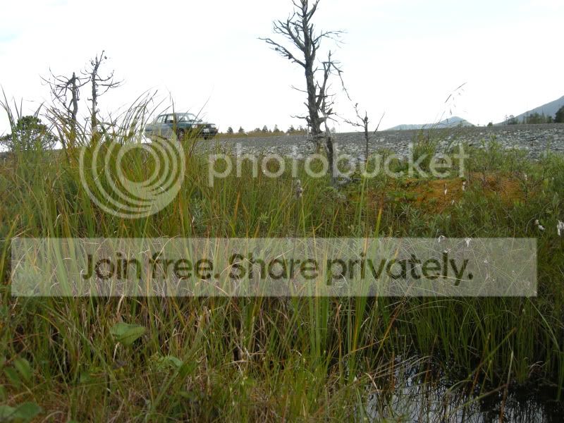 DSCN6133.jpg