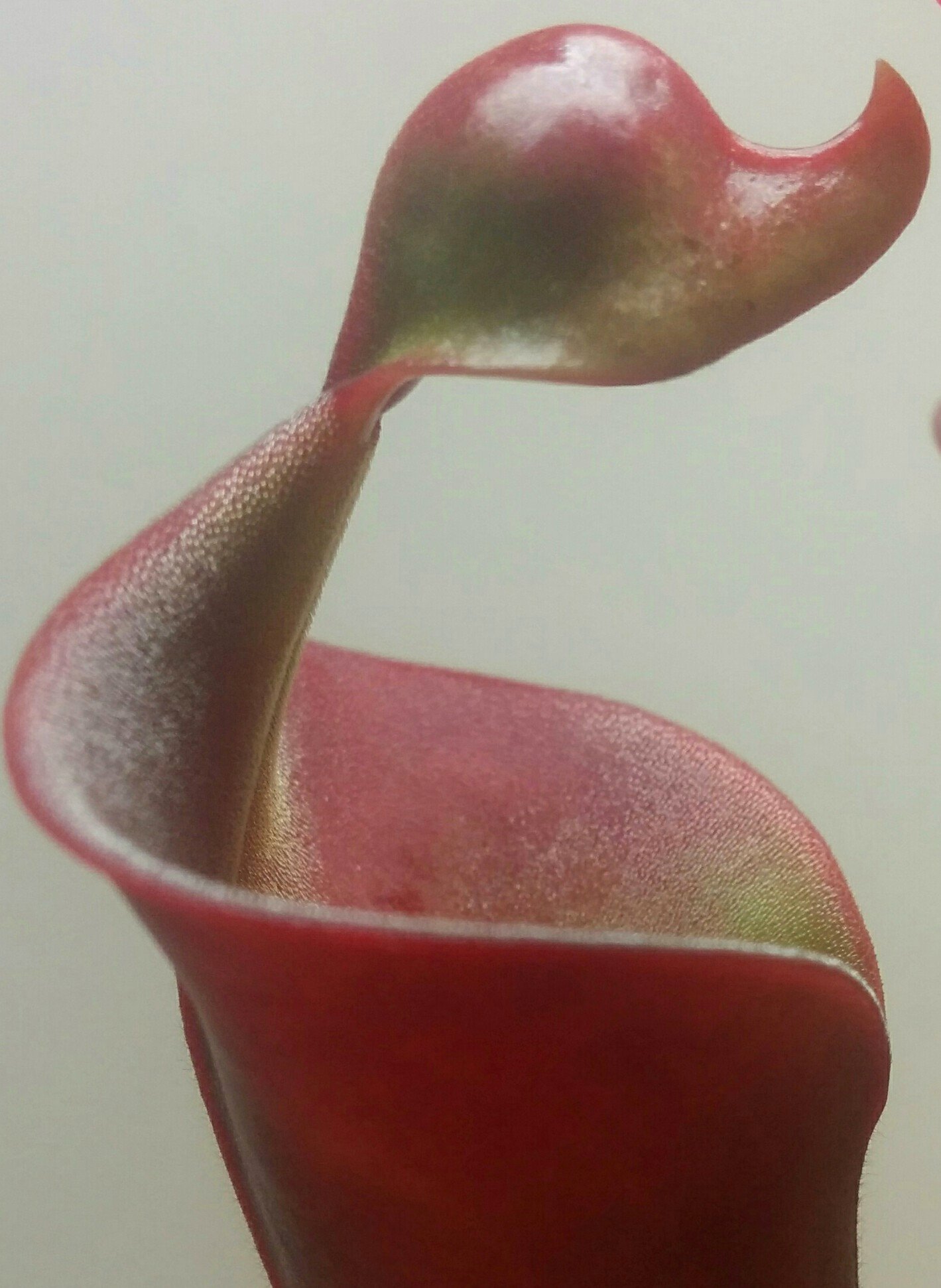 26343587869_faf9c50a56_o.jpg