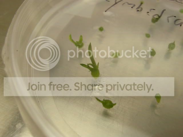 DSCN7557.jpg
