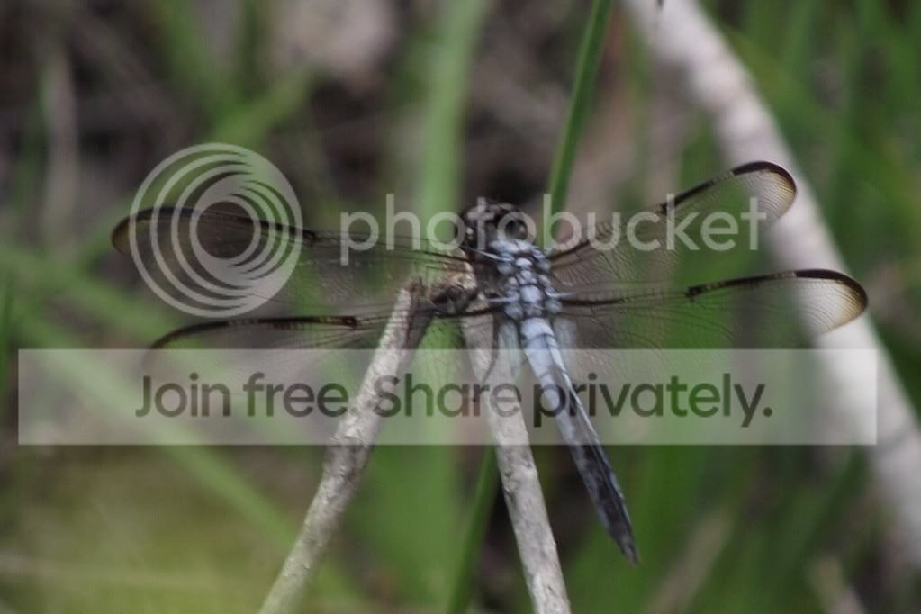 DSCF8081.jpg