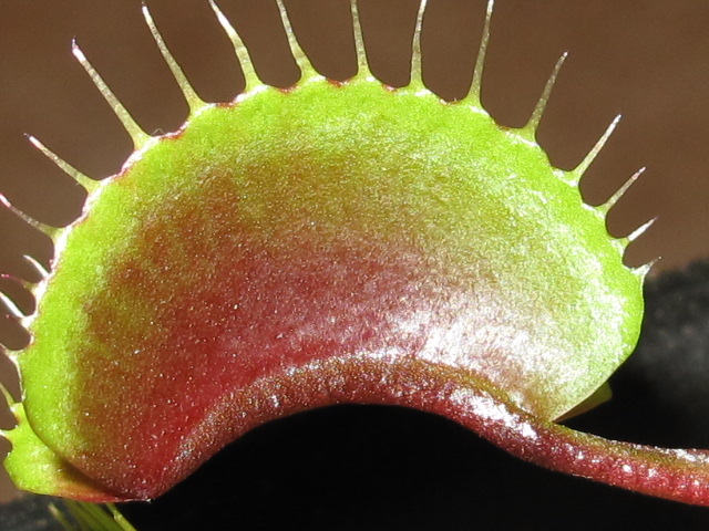 ERAA6.jpg