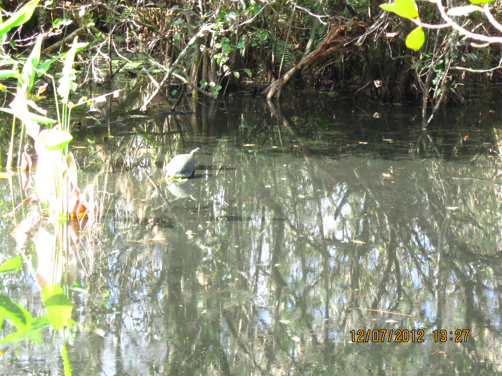 IMG_2421.JPG