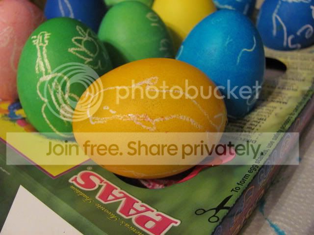 IMG_0173s.jpg