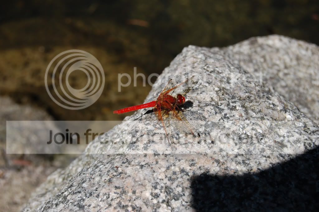 DSC_01080108.jpg