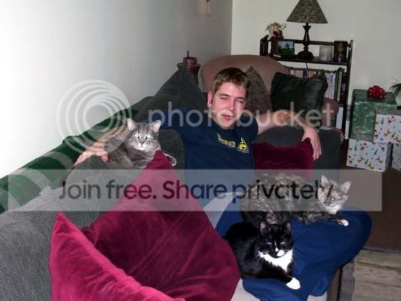 menkitties.jpg