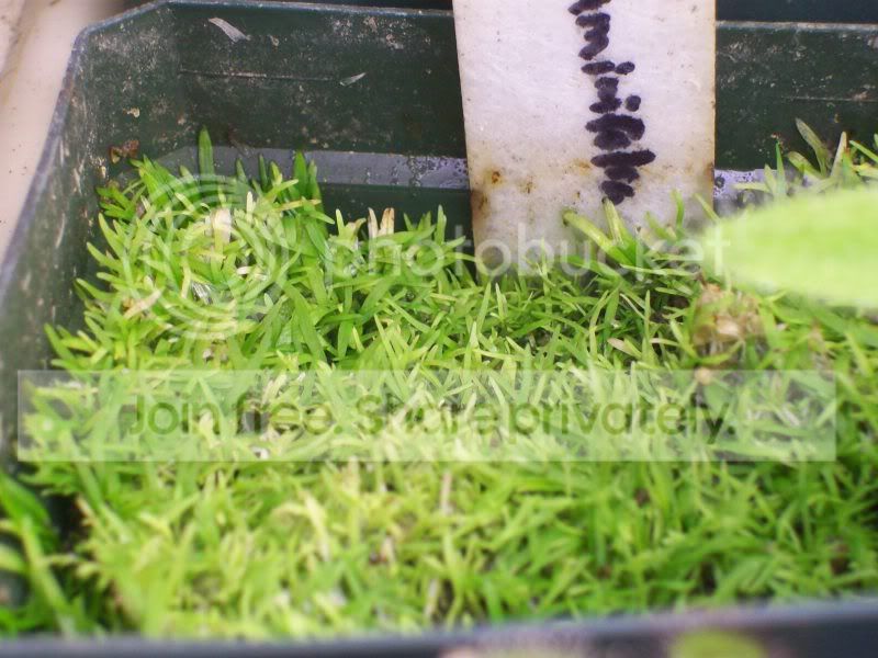 100_9872.jpg