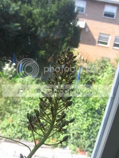 IMG_9048.jpg