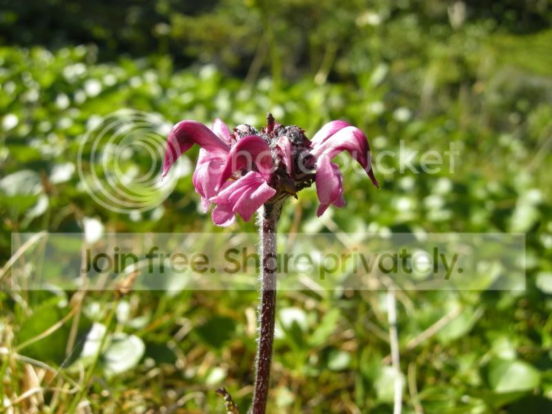 DSCN6218.jpg