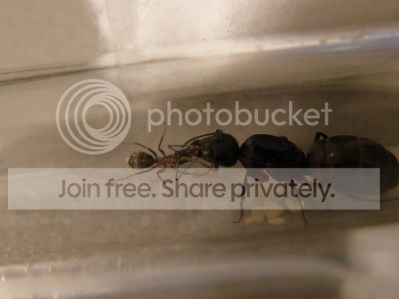 d7e580d0.jpg
