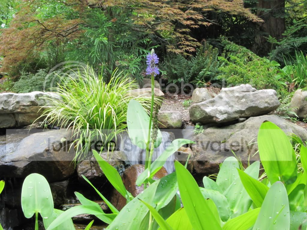 IMG_5338.jpg
