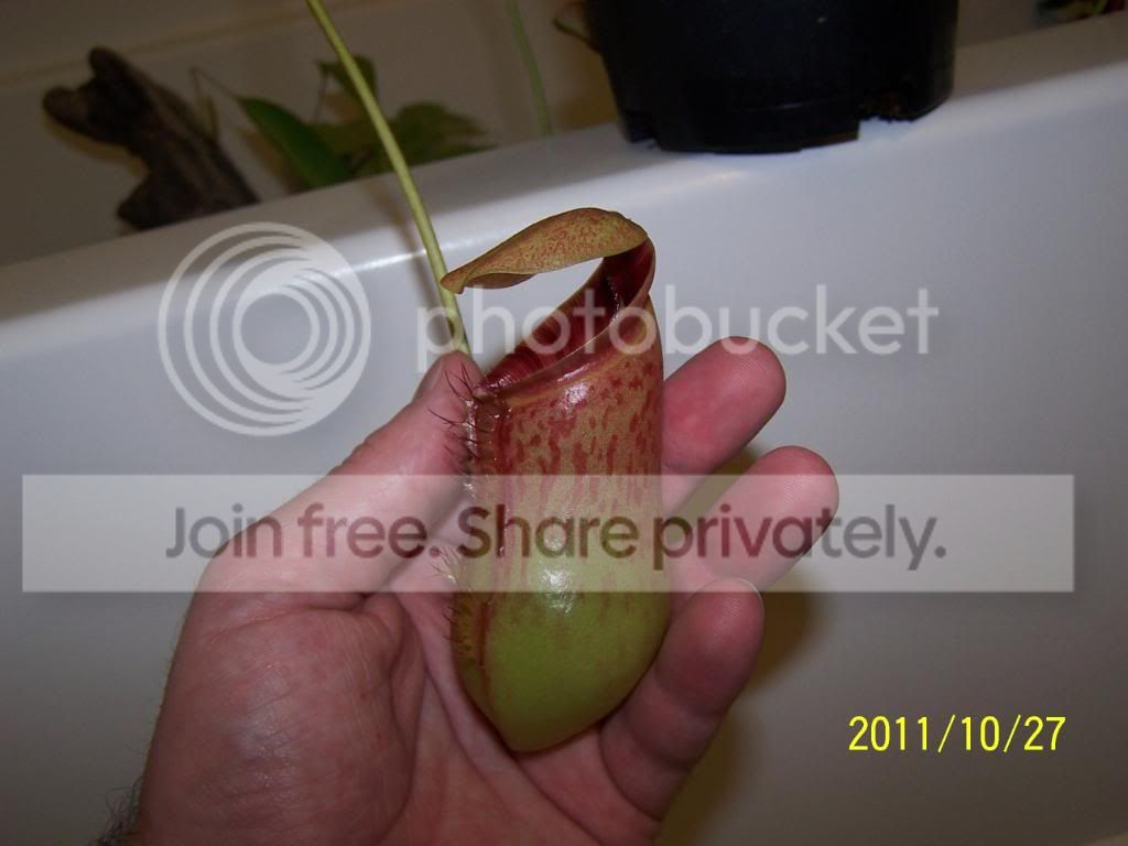 100_5490.jpg