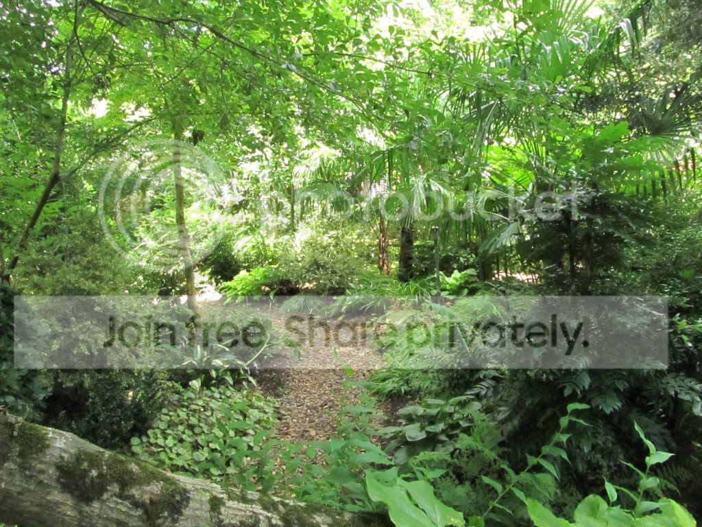 IMG_7073.jpg