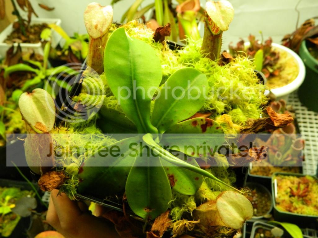 DSCN1665.jpg