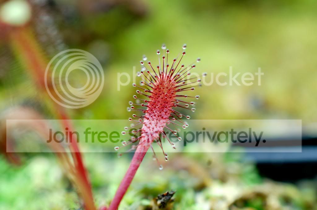 DSC_0861_zps8ac85178.jpg