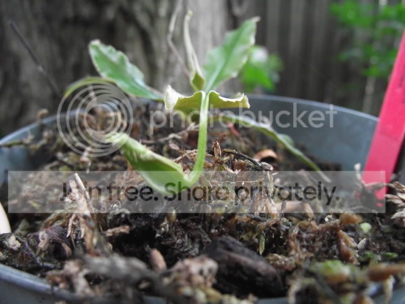 DSCF5716.jpg