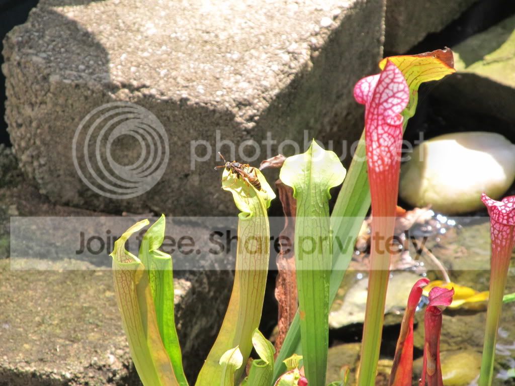 IMG_8843.jpg