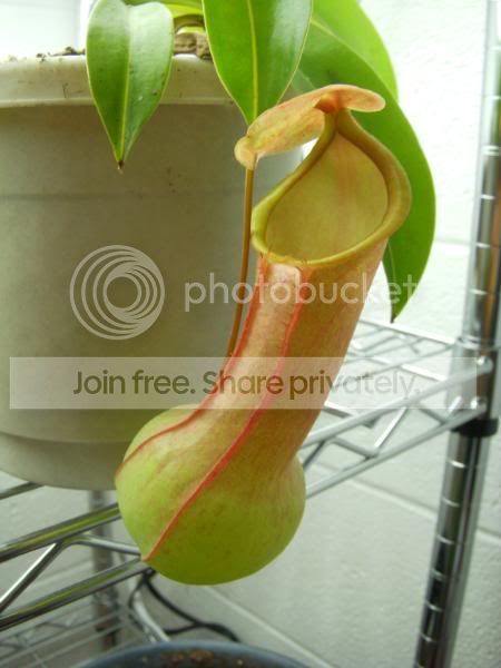 DSCN3495.jpg