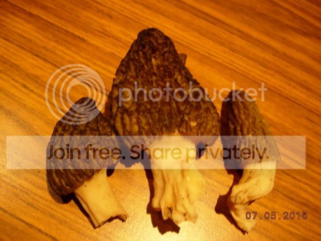 DSCN3808.jpg