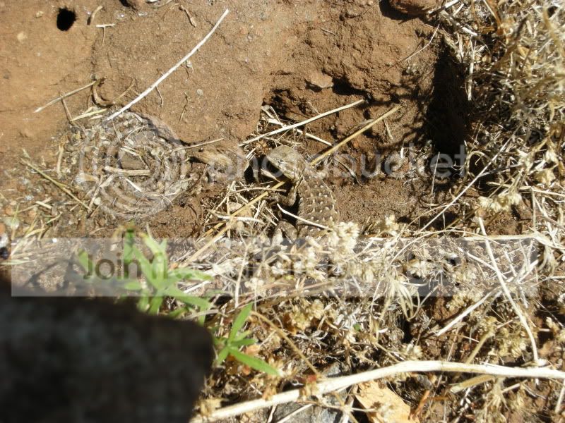 DSCN5970.jpg