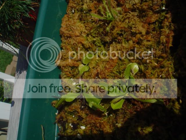 DSC01415.jpg