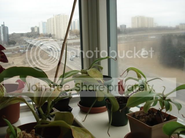 DSC02210.jpg