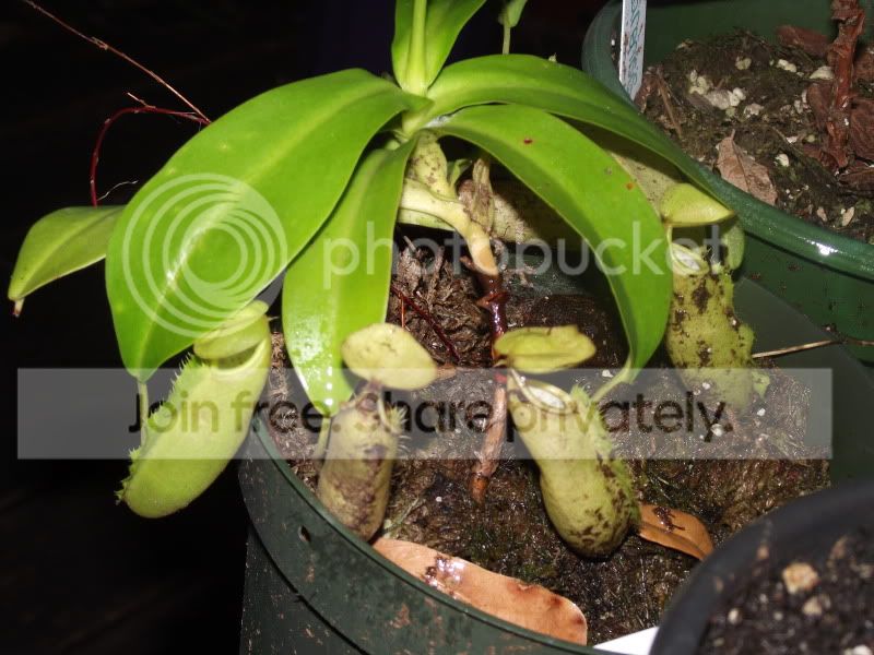 DSCF5483.jpg