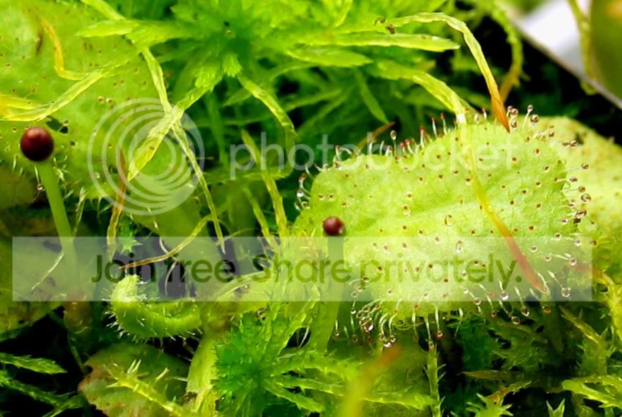 IMG_6028copy.jpg