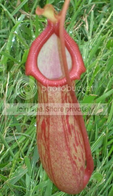 DSCN2077.jpg