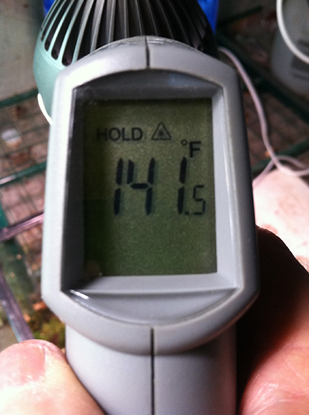 temp.jpg