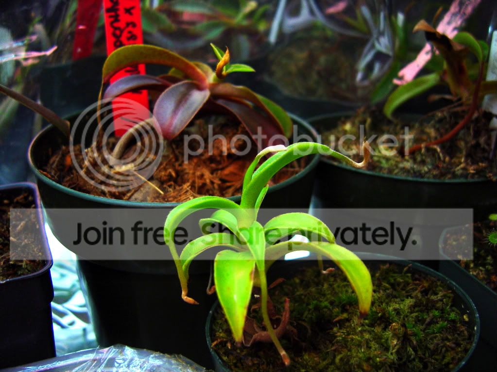 CPupdatesmostlyneps3-11-09009.jpg