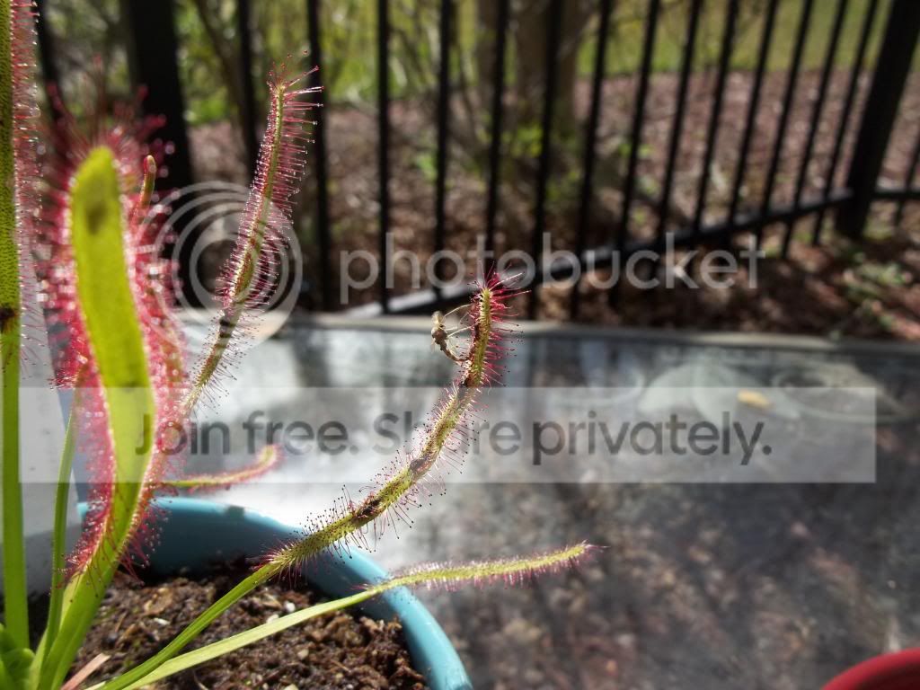 106_1785.jpg
