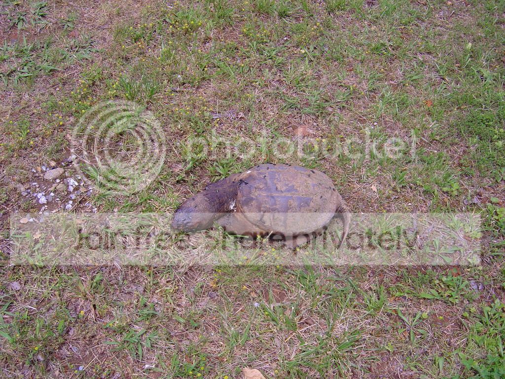 DSC03839.jpg