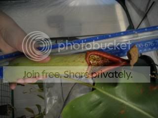 DSCN0256-1.jpg