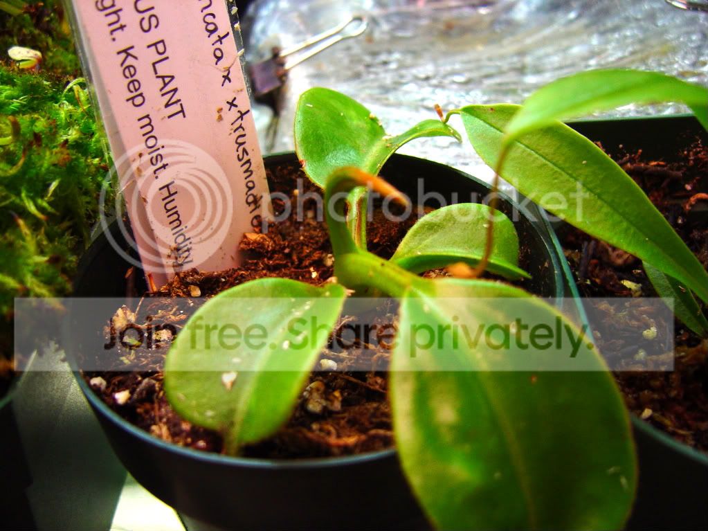 CPupdatesmostlyneps3-11-09008.jpg